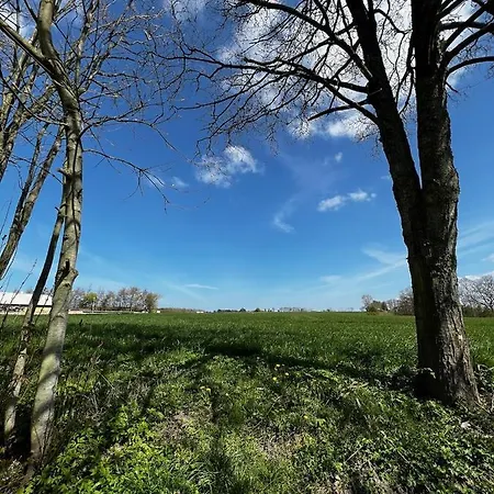 Bed & Breakfast Kroghojgard