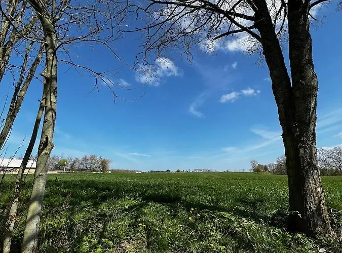 Bed and breakfast Kroghojgard